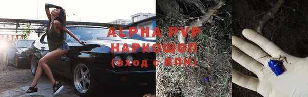 гидропоника Новокубанск