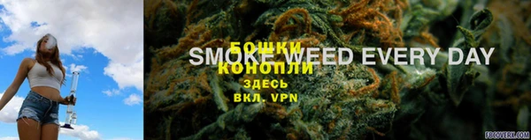 спайс Новодвинск
