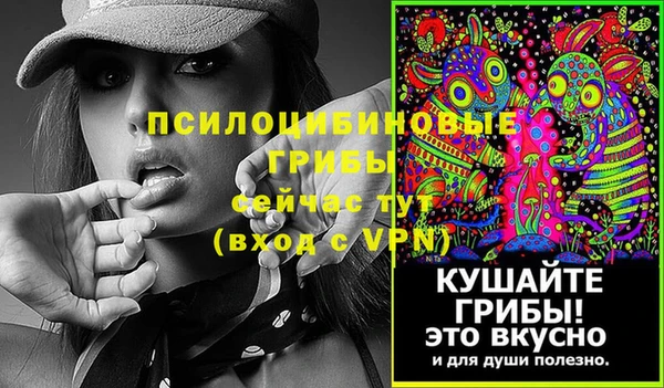 ALPHA-PVP Новозыбков